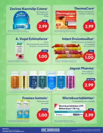 Die Grenze folder Pagina 11