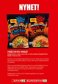 Spar kundeavis uke 10 Side 18