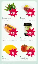 Tempo reklamblad vecka 10 Sida 2