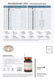 Bärbel Drexel Flugblatt Seite 3