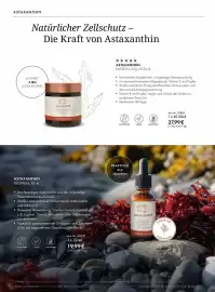 Bärbel Drexel Flugblatt Seite 33