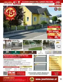 Josef Steiner Flugblatt Seite 13