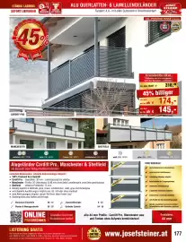 Josef Steiner Flugblatt Seite 177