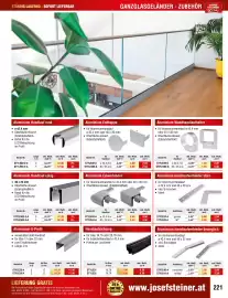 Josef Steiner Flugblatt Seite 221