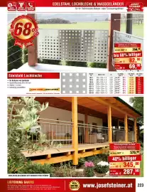 Josef Steiner Flugblatt Seite 223