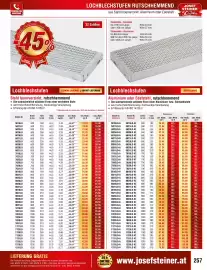 Josef Steiner Flugblatt Seite 257