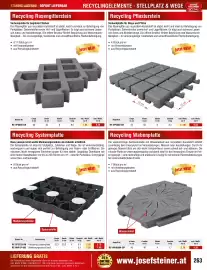 Josef Steiner Flugblatt Seite 263