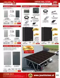 Josef Steiner Flugblatt Seite 313