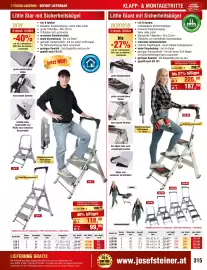 Josef Steiner Flugblatt Seite 315