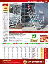 Josef Steiner Flugblatt Seite 317