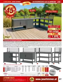 Josef Steiner Flugblatt Seite 427