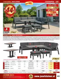 Josef Steiner Flugblatt Seite 433