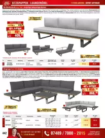 Josef Steiner Flugblatt Seite 442