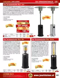 Josef Steiner Flugblatt Seite 453