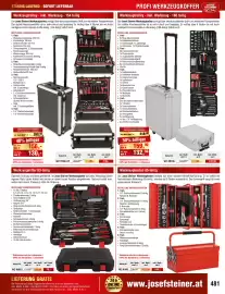 Josef Steiner Flugblatt Seite 481