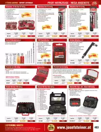 Josef Steiner Flugblatt Seite 483