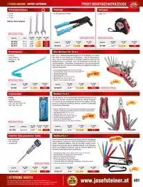 Josef Steiner Flugblatt Seite 491