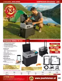 Josef Steiner Flugblatt Seite 509