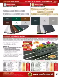 Josef Steiner Flugblatt Seite 57