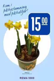 Rema 1000 kundeavis Side 19