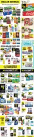 Dollar General weekly ad week 10 Page 1