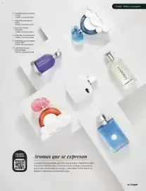 Catálogo Coppel Página 33