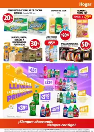 Folleto Farmacias Guadalajara Página 3