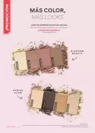 Catálogo Mary Kay Página 8