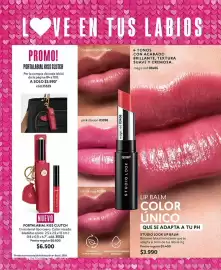 Catálogo Cyzone Página 102