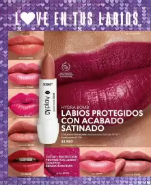 Catálogo Cyzone Página 98