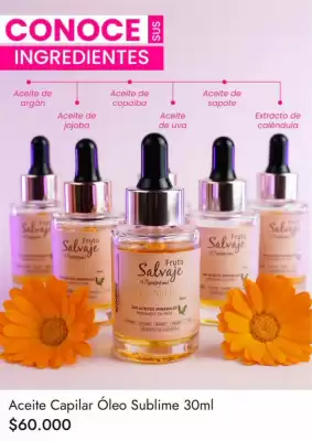 Catálogo Fruto Salvaje (válido hasta 3-03)