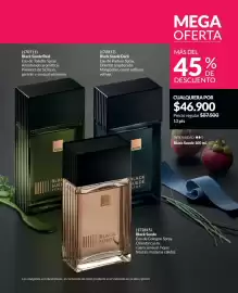 Catálogo Avon Página 222