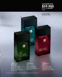 Catálogo Avon Página 67