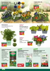 Lagerhaus Flugblatt Seite 2