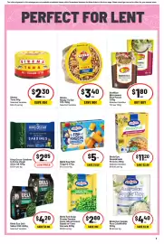 IGA catalogue week 10 Page 11