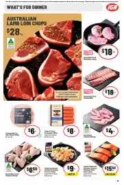 IGA catalogue week 10 Page 19