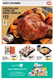 IGA catalogue week 10 Page 8