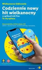 Lidl gazetka tydzień 11 Strona 5