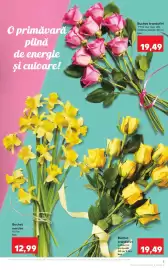 Catalog Kaufland săptămâna 10 Pagină 3