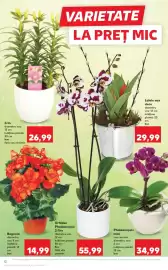 Catalog Kaufland săptămâna 10 Pagină 12