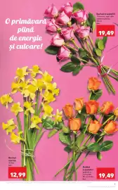 Catalog Kaufland săptămâna 10 Pagină 3