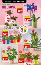 Biedronka gazetka tydzień 10 Strona 22