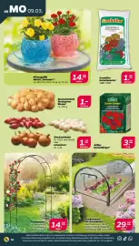 NETTO Prospekt woche 11 Seite 20