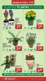 Folleto ALDI semana 11 Página 16