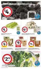 Coles catalogue week 10 Page 21