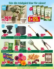 ÖoB annonsblad vecka 10 Sida 11