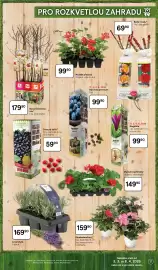 Tesco leták Strana 17