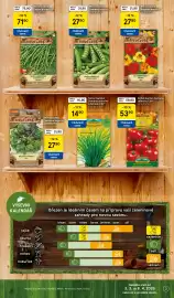 Tesco leták Strana 3