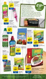 Tesco leták Strana 7