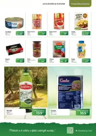 Tamda Foods leták týden 10 Strana 41